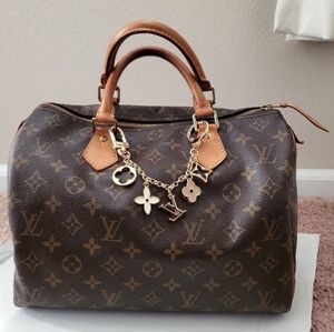 Louis Vuitton Speedy Bag 30